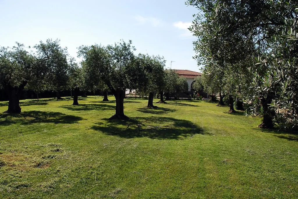 Bed And Breakfast Eden Green Alghero Italy